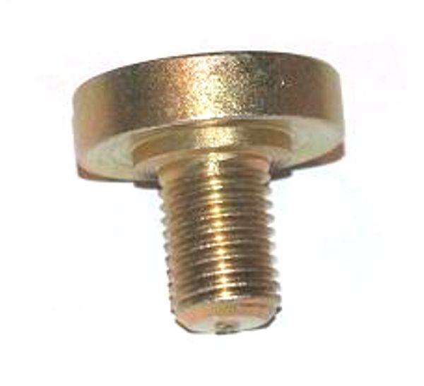Wkręt Specjalny Pompy P-20 P-40 4002040300