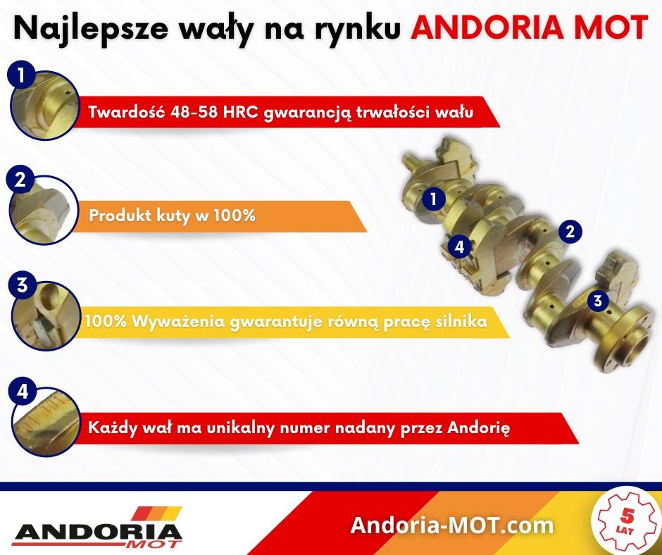 Wał Korbowy Kuty Hartowany Mf4 Andoria | UR040591AM - zdjęcie 2