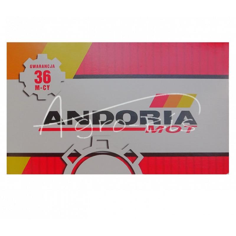 Rozpylacz Do Silnika Dsl150s430-1439 93009310 Zetor Andoria - zdjęcie 6