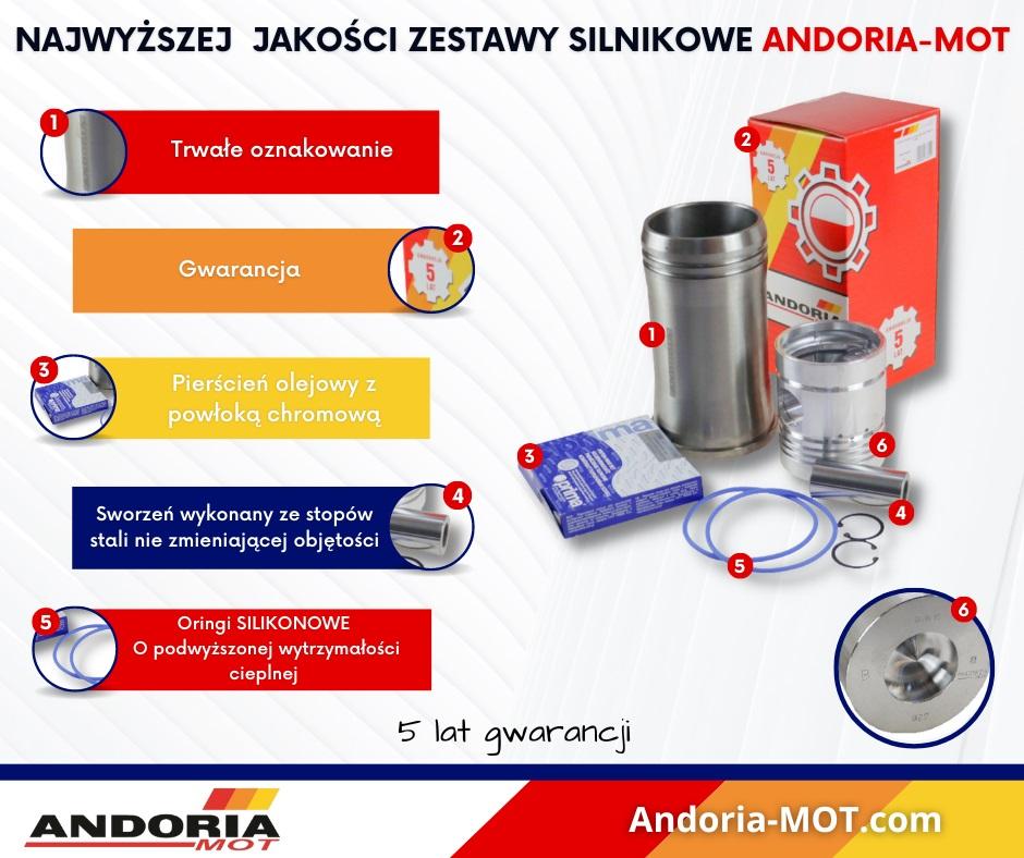 Zestaw Naprawczy Silnika 55110018 950116 C-360 Andoria - zdjęcie 4