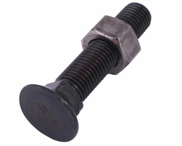 Śruba kpl płużna podsadzana d 608 m16x100mm kl.10.9 waryński 10szt