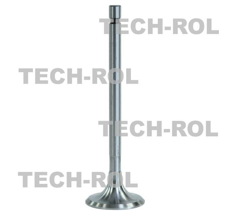 Zawór ssący chromowany do C-360 50505050 Vikram Valves 4szt