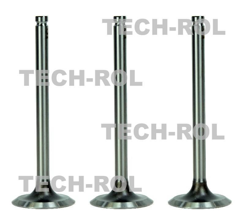 Zawór ssący do MF-3 opakowanie 3szt31431681 Paradowscy AMP