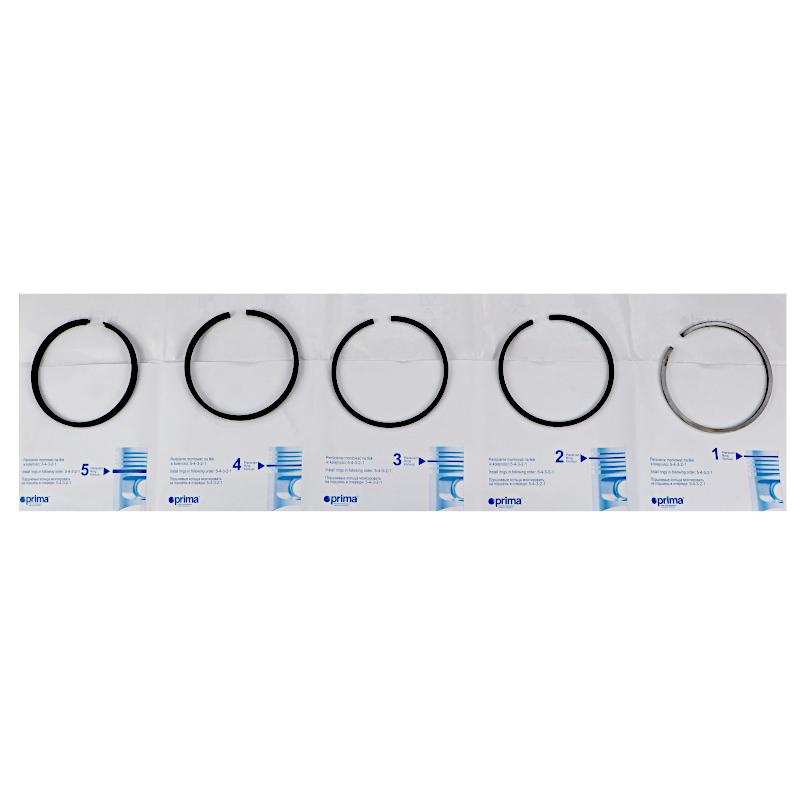 Komplet Pierścieni Silnika Fi-100 S301