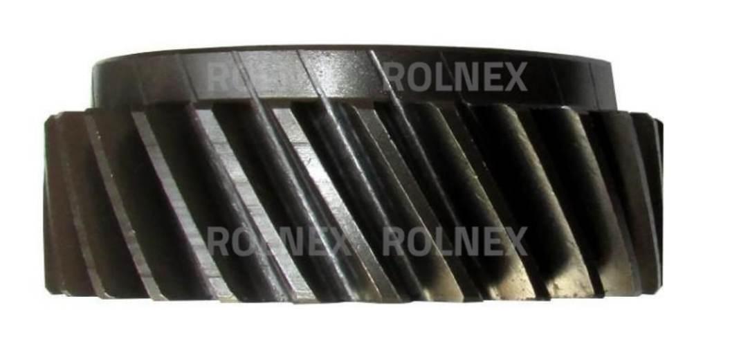 Koło rozrządu d260 mtz bg 2601005030 - zdjęcie 2