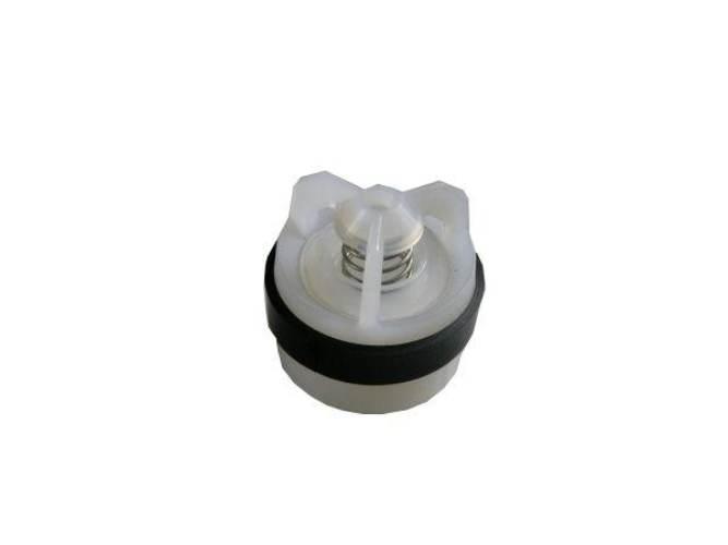 Zaworek do pompy Rau 38/41x47 mm Opryskiwacz 4002040561