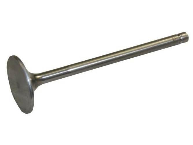 Zawór wydechowy Bizon Paradowski PL607910P