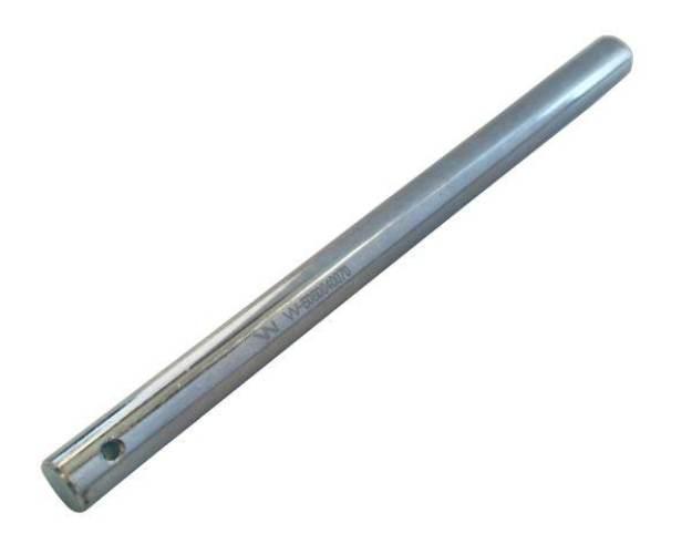 Palec ślimaka Bizon Waryński 5szt W-5060040070