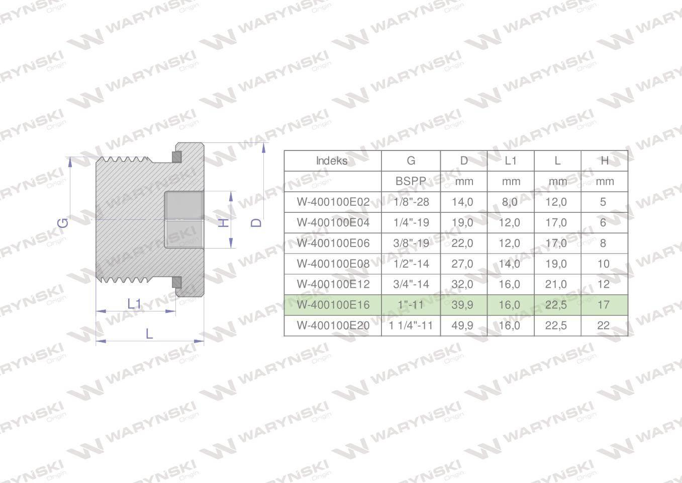 Korek hydrauliczny calowy (na imbus) 1" BSP ED Waryński 2szt W-400100E16