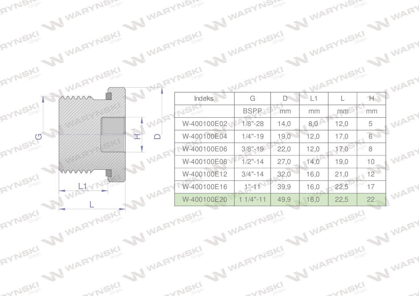 Korek hydrauliczny calowy (na imbus) 1 1/4" BSP ED Waryński W-400100E20