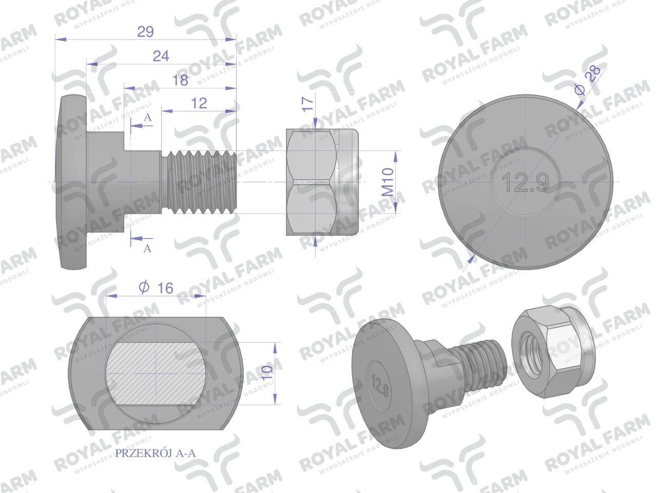 Śruba nożyka kpl. M10x29 ROYAL FARM 10szt RF-77088 - zdjęcie 2