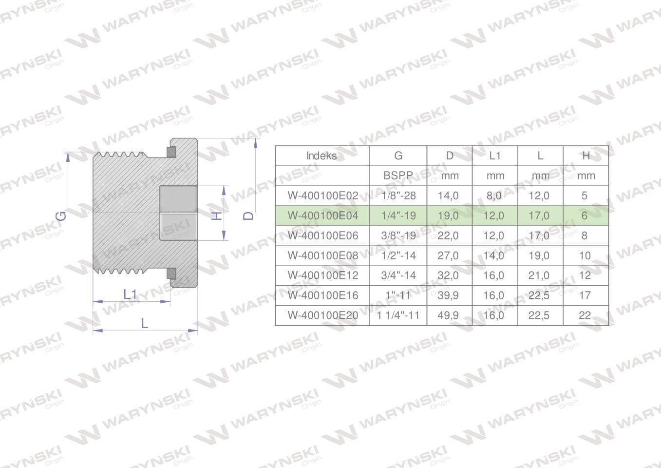 Korek hydrauliczny calowy (na imbus) 1/4" BSP ED Waryński 10szt