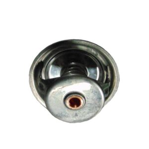 Termostat Steyr 131100040036