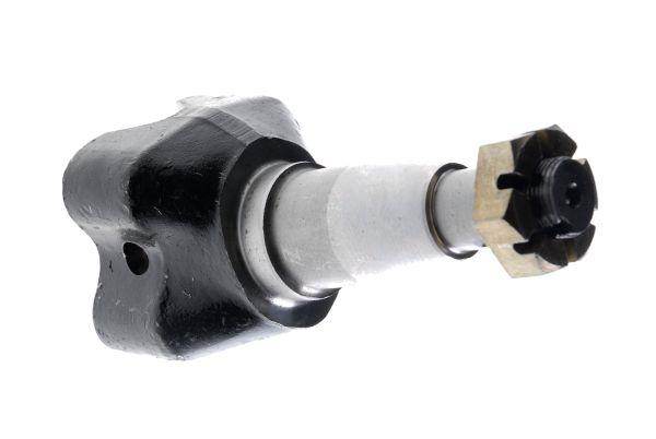 Czop zwrotnicy 18 z nakrętką c-4011