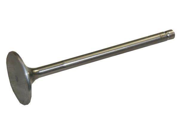 Zawór wydechowy bizon paradowski