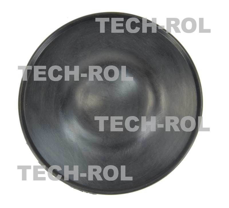 Przepona tłocząca pompa Rau P-100 Opryskiwacz 04 WZUP