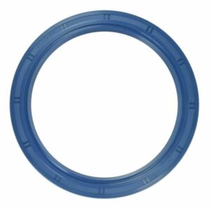 Simmering AO 100x125x12 NBR 2401002305 SIMMER 2szt