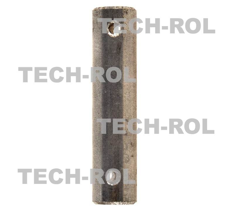 Sworzeń zapadki Rozrzutnik 2219060061 AGROGEAR