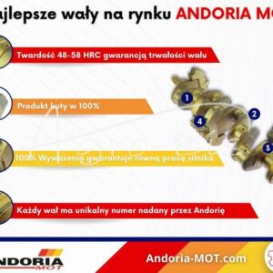 Wał Korbowy 3132002k91 Mf3 Azotowany Andoria