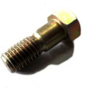 Śruba Tarczy Hamulcowej Bizon