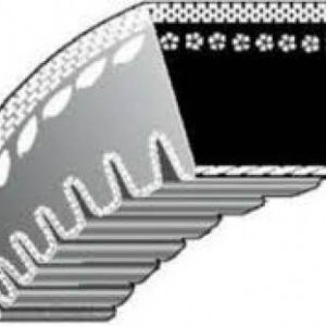 Pasek Uzębiony Avx13-1550