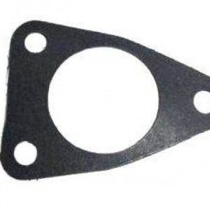 Uszczelka Pompki Zasilającej P2.48.00