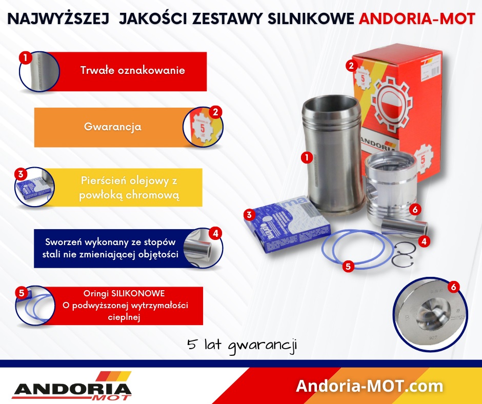 Zestaw Naprawczy Silnika 3-Pierścieniowy 89003959 C-385 Andoria Zestaw Naprawczy Silnika 3-Pierścieniowy 89003959 C-385 Andoria - obrazek 4