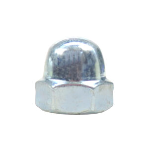 Nakrętka Kołpakowa M10 Din1587 Ocynk Biały 5423120/1