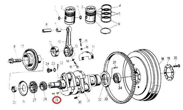 Wpust 8x11 10szt Wpust 8x11 10szt - obrazek 2