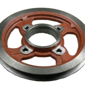 Koło pasowe i bizon