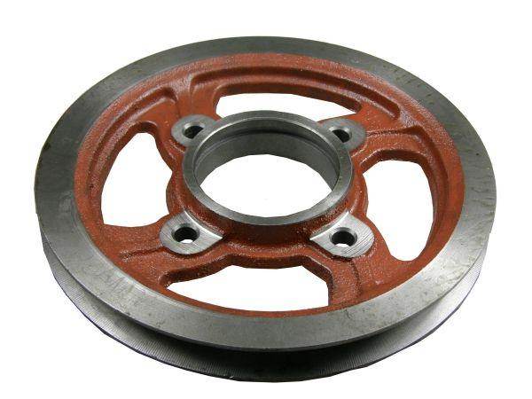 Koło pasowe i bizon