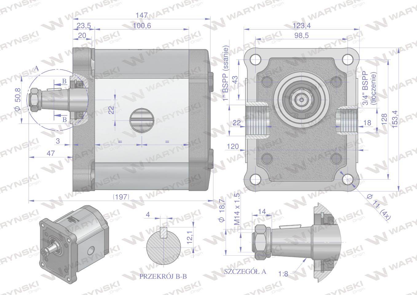 Pompa hydrauliczna zębata 48.0cm3 grupa 3 typ europejski wałek 18 przyłącza gwintowane obroty prawe max.210 bar waryński Pompa hydrauliczna zębata 48.0cm3 grupa 3 typ europejski wałek 18 przyłącza gwintowane obroty prawe max.210 bar waryński - obrazek 4