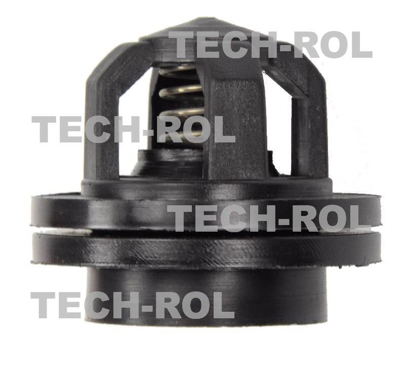 Zawór pompy P-120 Biardzki czarny Opryskiwacz 432908007 Biardzki