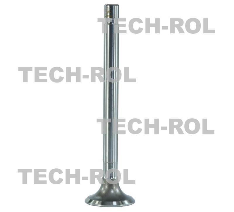 Zawór wydechowy do C-360 opakowanie 4szt. 50505060 Paradowscy AMP