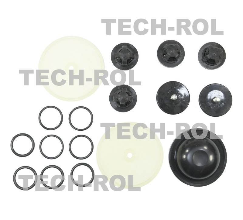 Zestaw naprawczy pompy P-120 Biardzki -duży Opryskiwacz ZNPB Produkt