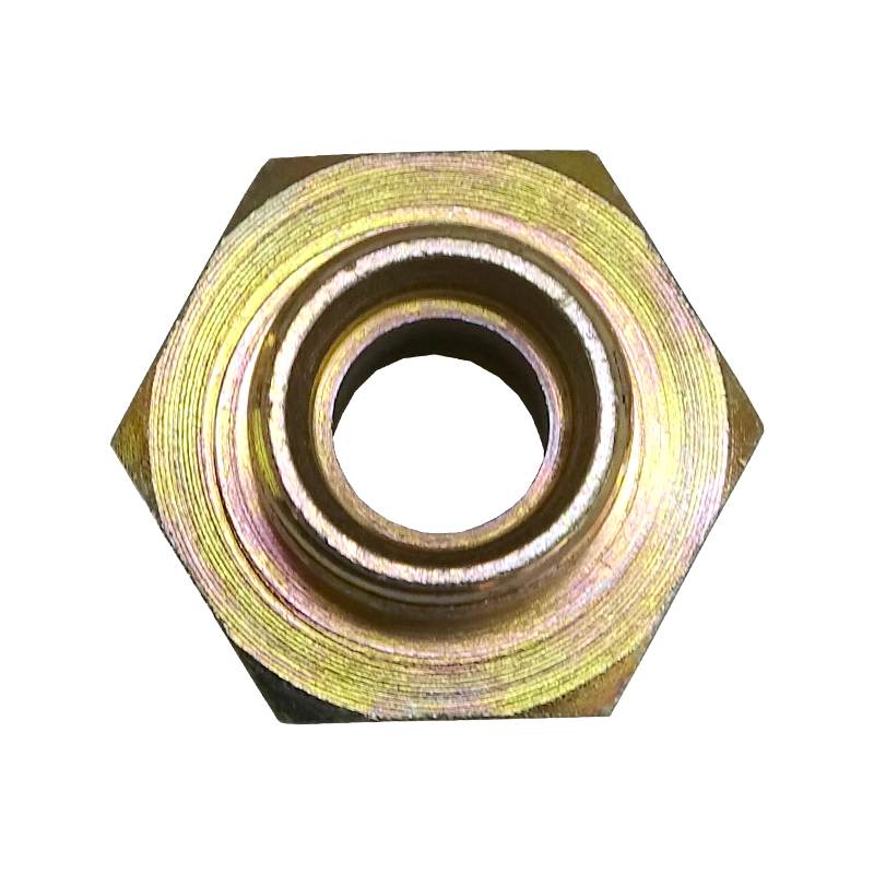 Korpus Orbitrola Korpus Orbitrola - obrazek 4