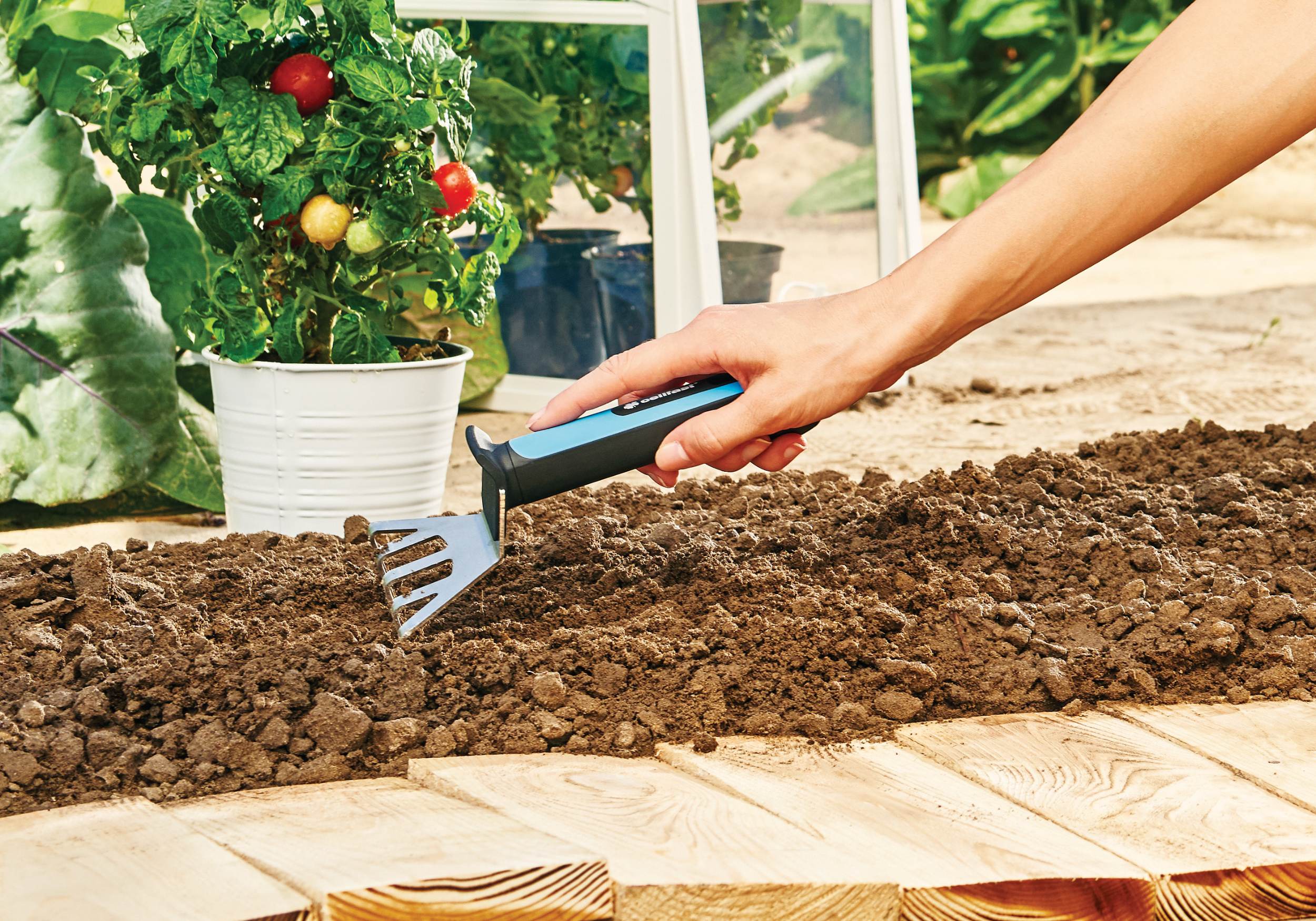 Grabki Ergo Grabki Ergo - obrazek 2